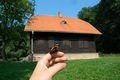 Domov