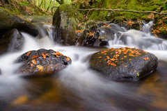 Cloghleagh river