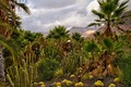 Gran Canaria – najmenší kontinent sveta