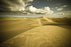 Small Sahara