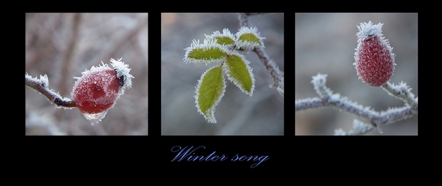 Winter song