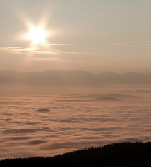 Spišiak z rodu Hmlistých