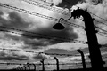 Birkenau