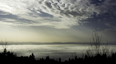 Horizont