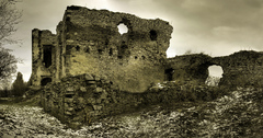 Viniansky hrad