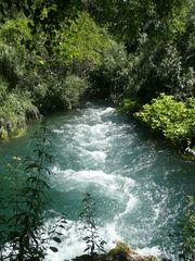 Wild river