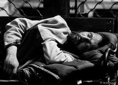 SIESTA