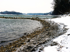Dunajska plaz