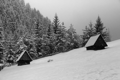 Keď sneží IV. ...