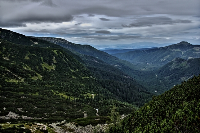 Do diaľav I. ...