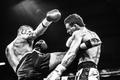Majstrovstvá sveta W5 v kickboxe