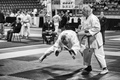 Bunkai
