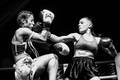 Hanuman cup 16