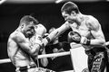 Majstrovstvá sveta W5 v kickboxe