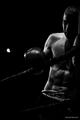 Boxer