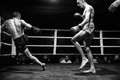 Hanuman cup 16