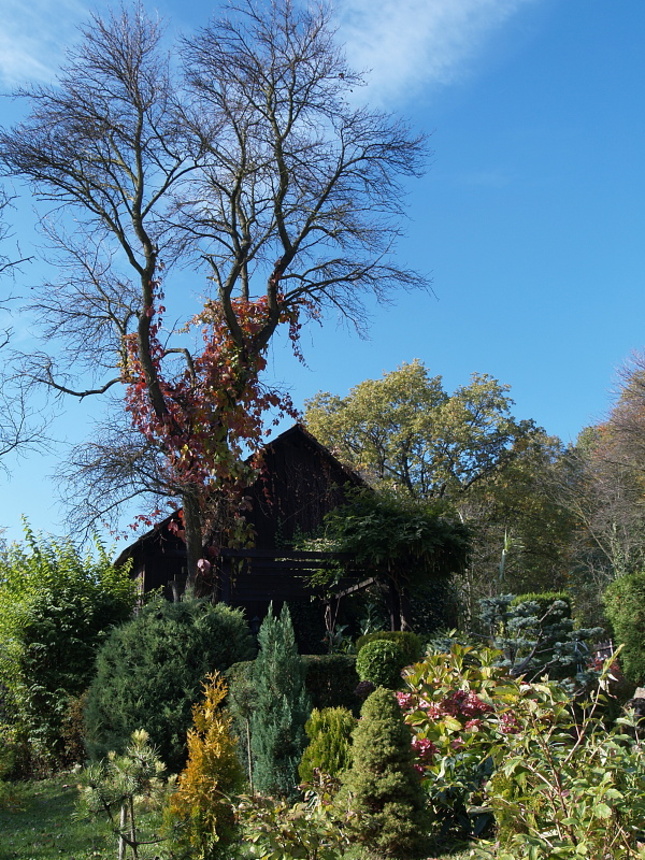 Jesenná záhrada III.