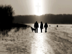Knocking on the heaven´s door