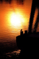 Danube sunset