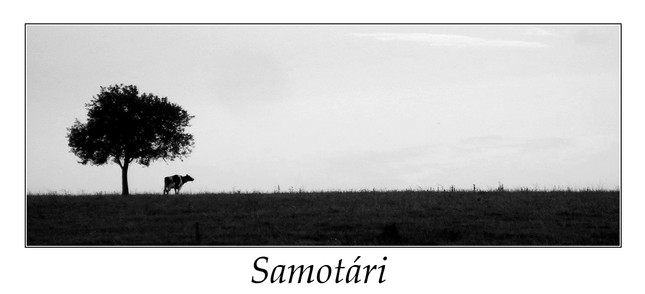 Samotári