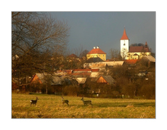 Srnčia debata
