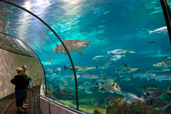 Aquarium Barcelona