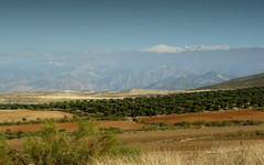 Sierra Nevada