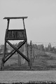 Watch Tower