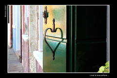 love is everywhere