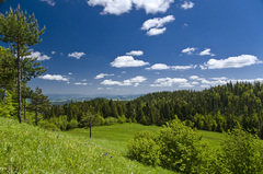 Rajská záhrada