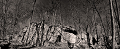 rockcity