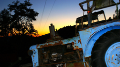 Zetor Blues