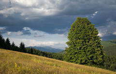 ...zastavenie...