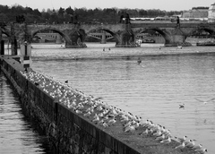 Praha