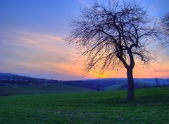 prichádza