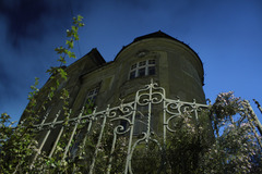 Palisády