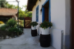 chalúpka