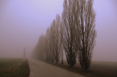 Do stratena