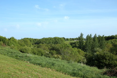park
