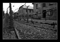 AUSCHWITZ-BIRKENAU (OSVIECIM)