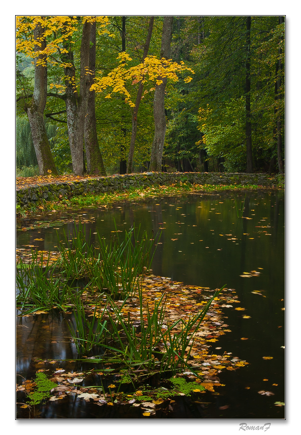 Jeseň pri Malom rybníku