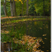 Jeseň pri Malom rybníku