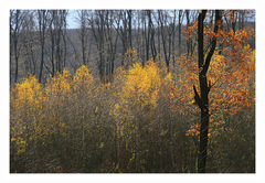 Cestou na Biely kríž