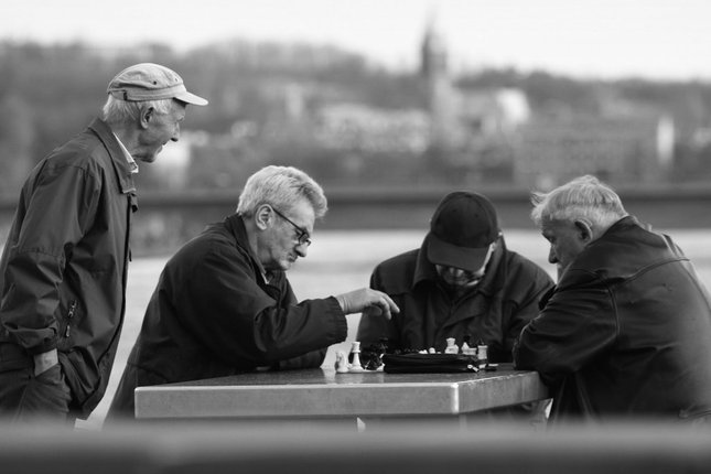 šachová partia