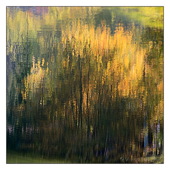 jesenné reflexie