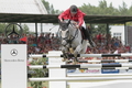 Grand Prix 2013 BA