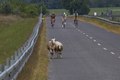 čuňovská vuelta