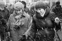 Predvianočný ošiaľ