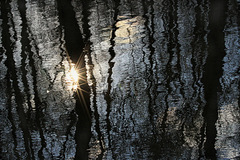 dobrú noc slnko ....