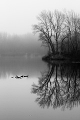 za rána pri jazere ...